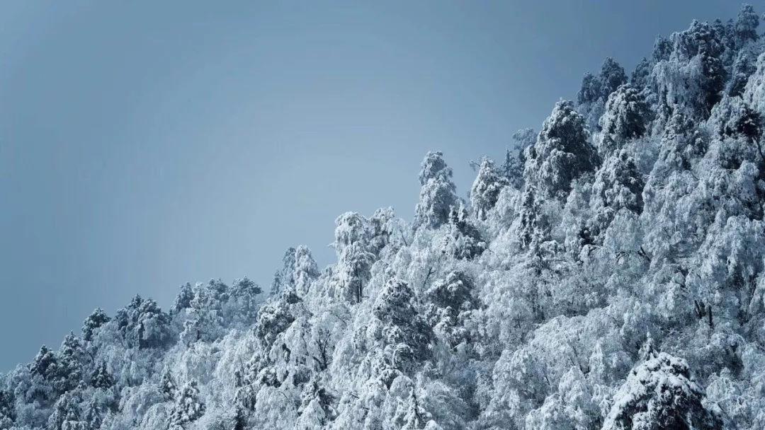 为什么烟火在燃烧时会有不同的颜色？